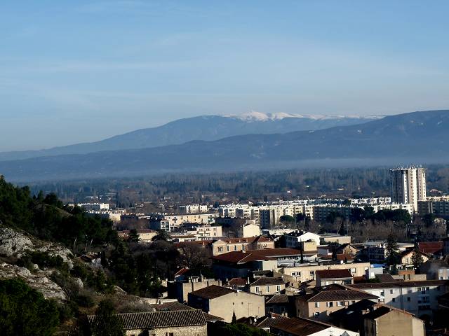 vue