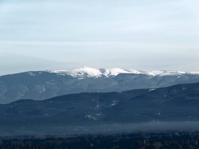 vue