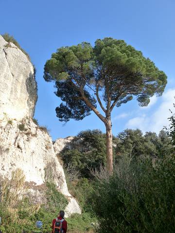 Promenade du Grenouillet