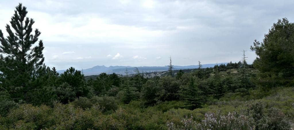 Alpilles