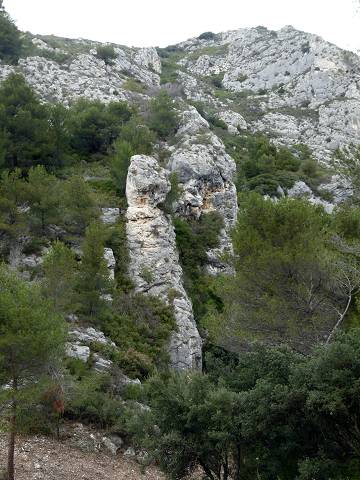 vue
