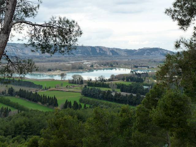 vue