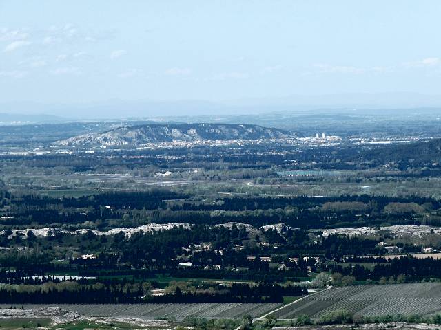 Cavaillon