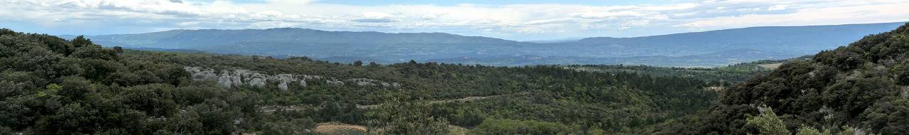 vue