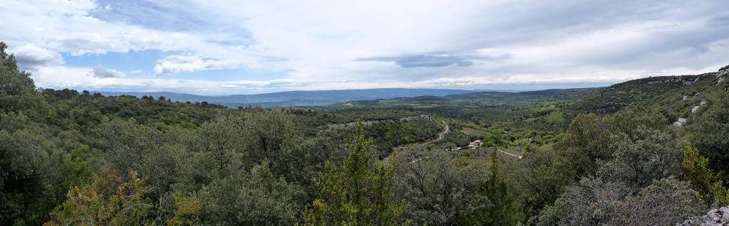 vue