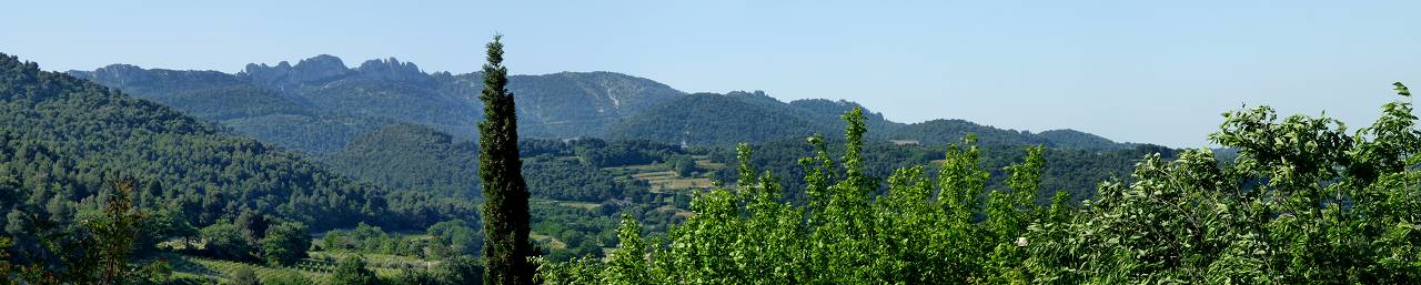 Dentelles