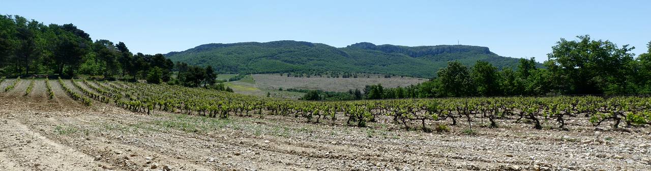 St Amand