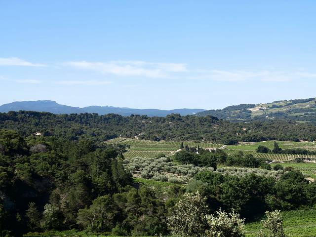 vue