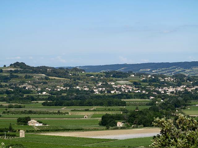 vue