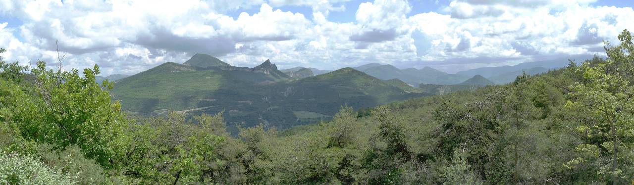 vue