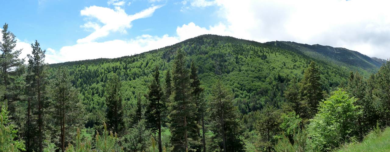 Valle du Galbe