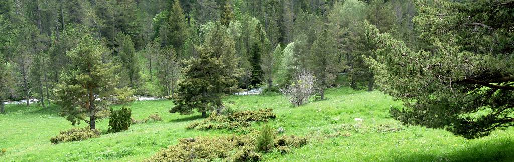 Valle du Galbe