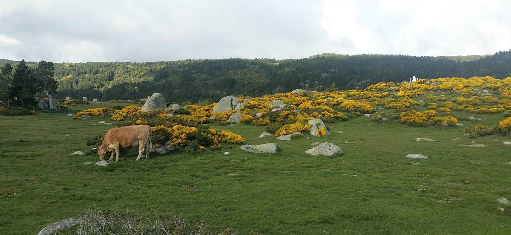 Les Bouillouses
