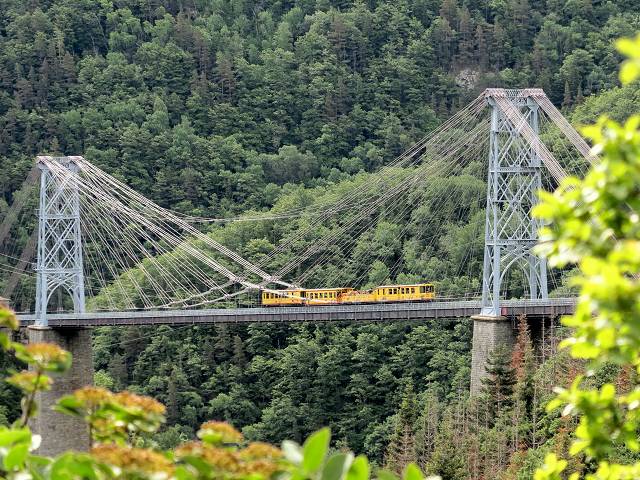 Train Jaune