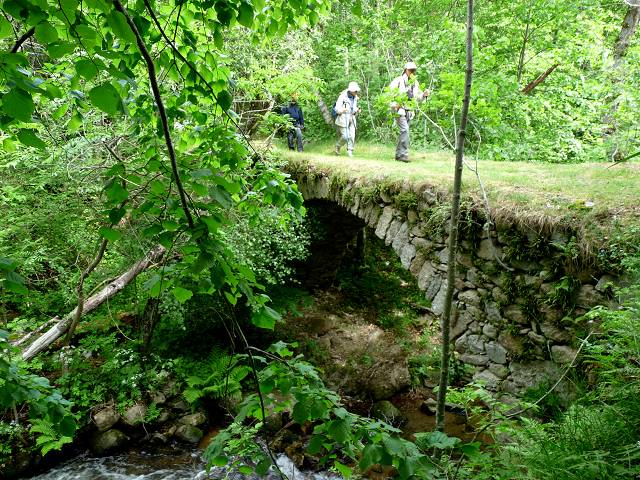 Pont sur la Tt