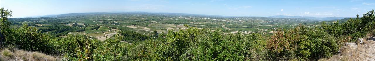vue