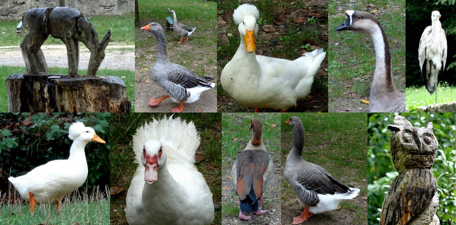 Bestiaire