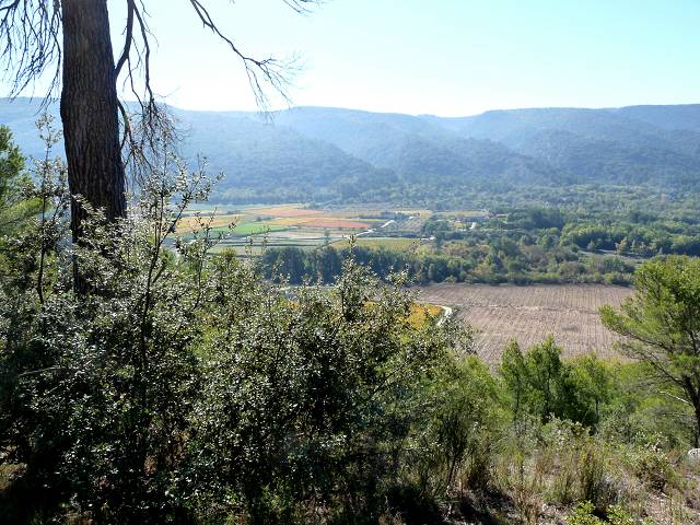 vue