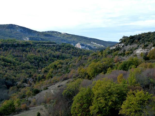 vue