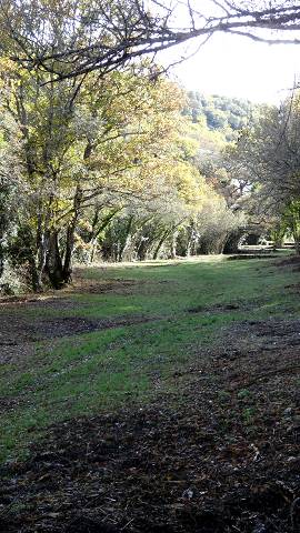 combe