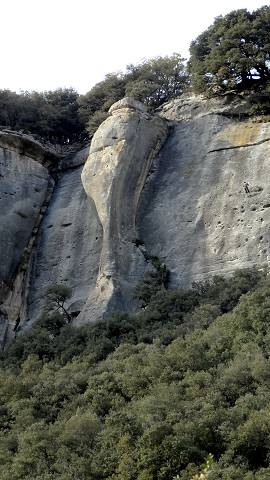 falaise