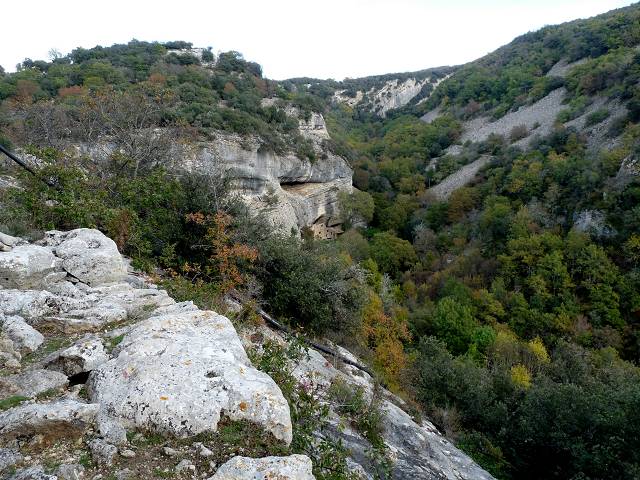 vue