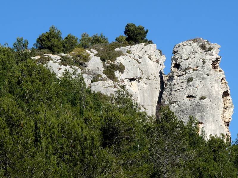 aiguille