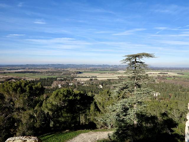 vue