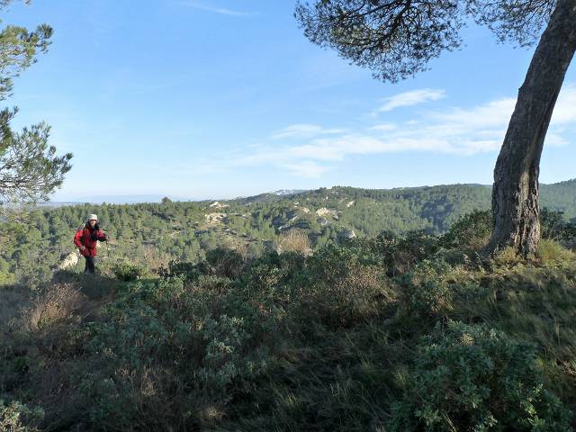 vue