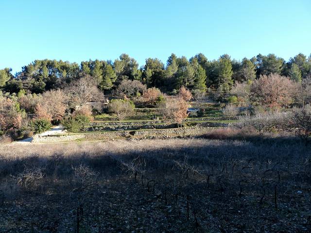 bancau