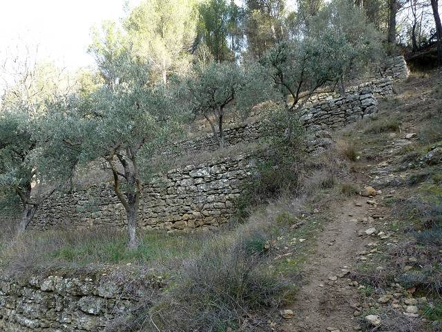 Bancau