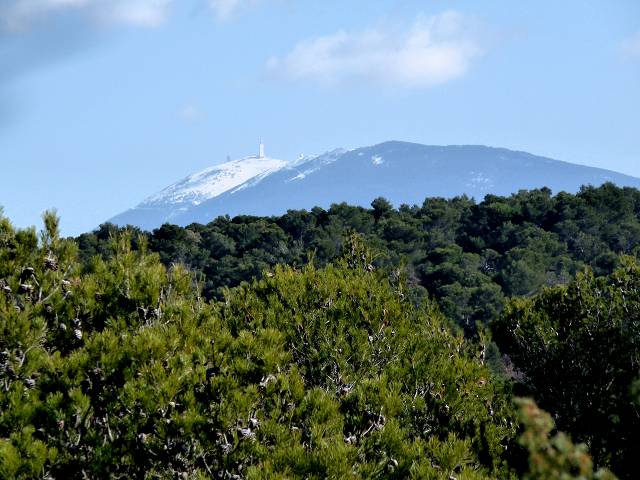 Ventoux