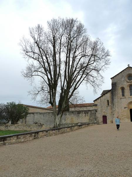 Silvacane