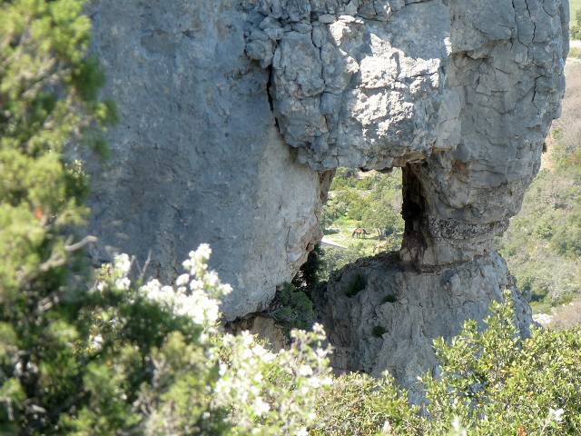 vue