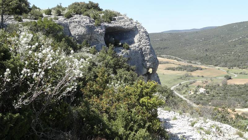 Falaise