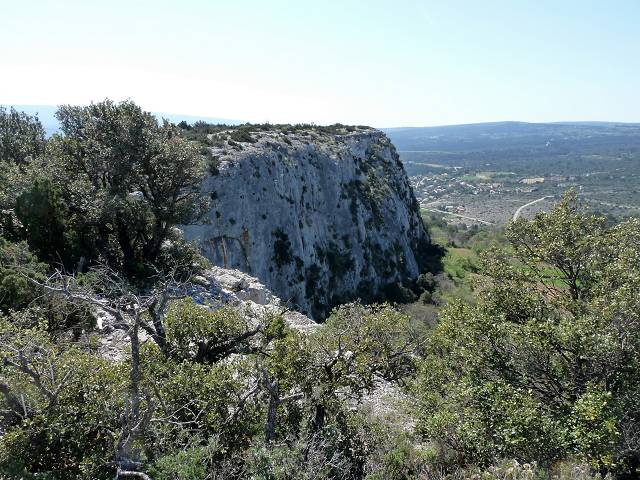 Falaise