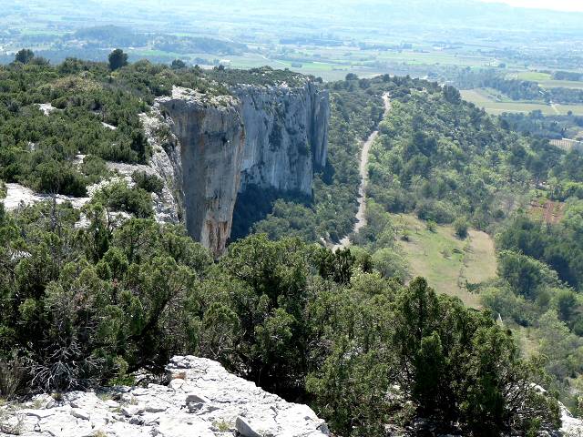 Falaise