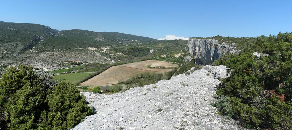 Falaise