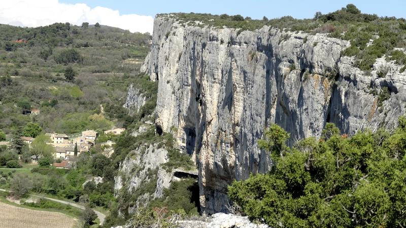 Parrotier
