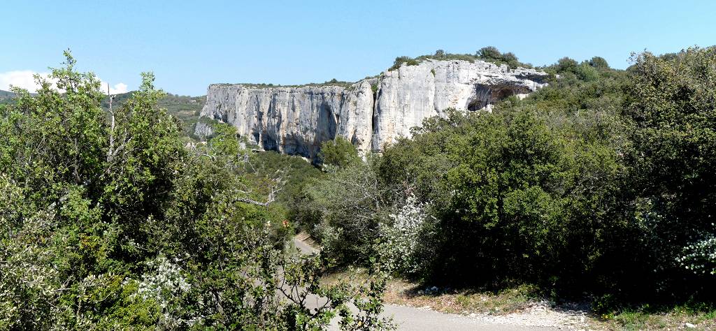 Falaise
