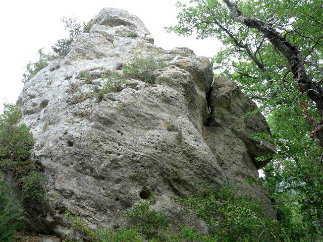Avalone