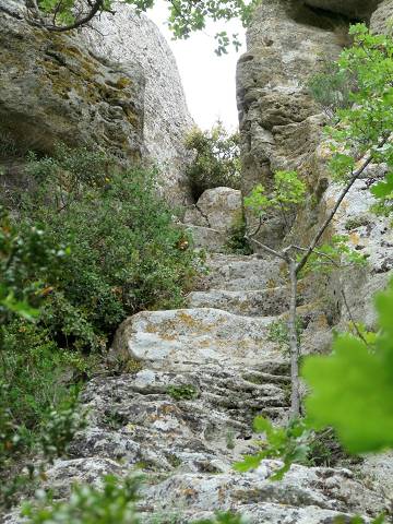 Avalone