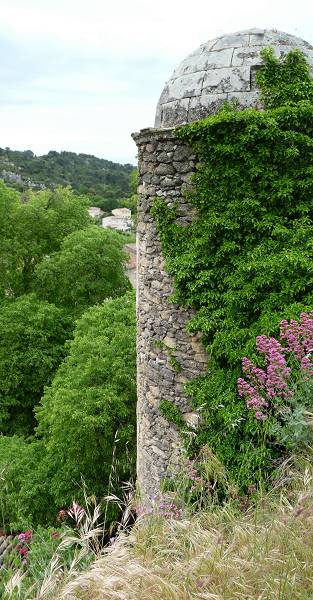 Chteau d'Alleins