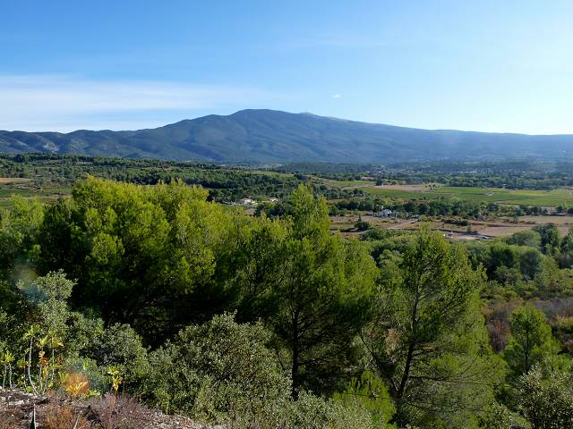 Ventoux