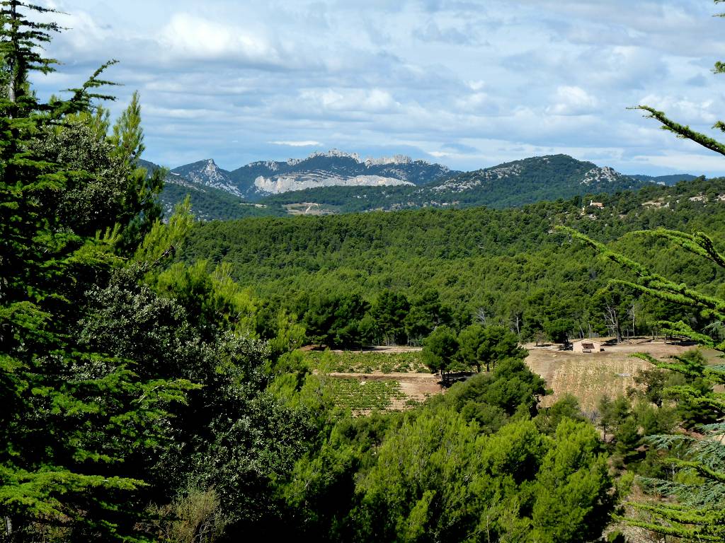 vue