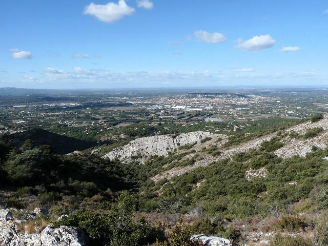 vue