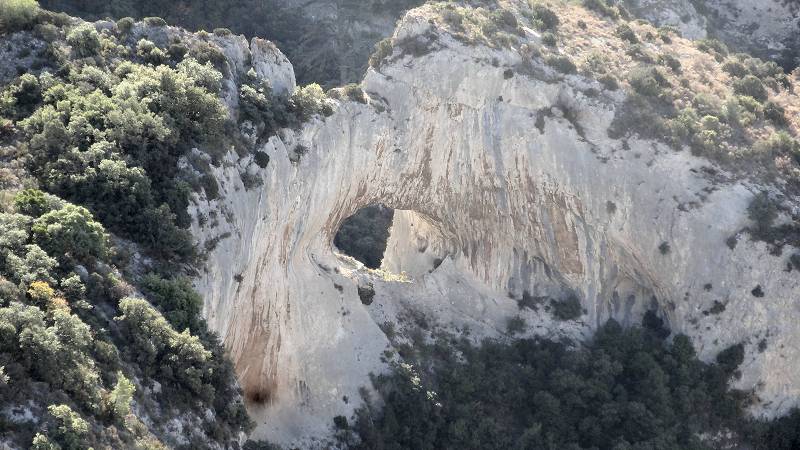 Arche