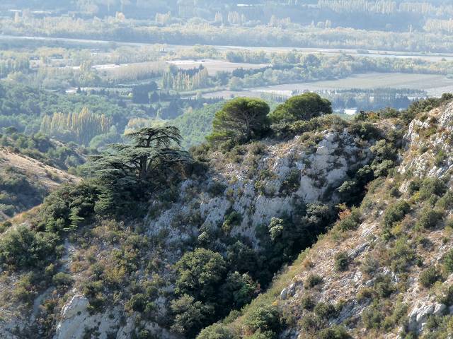 belvédère