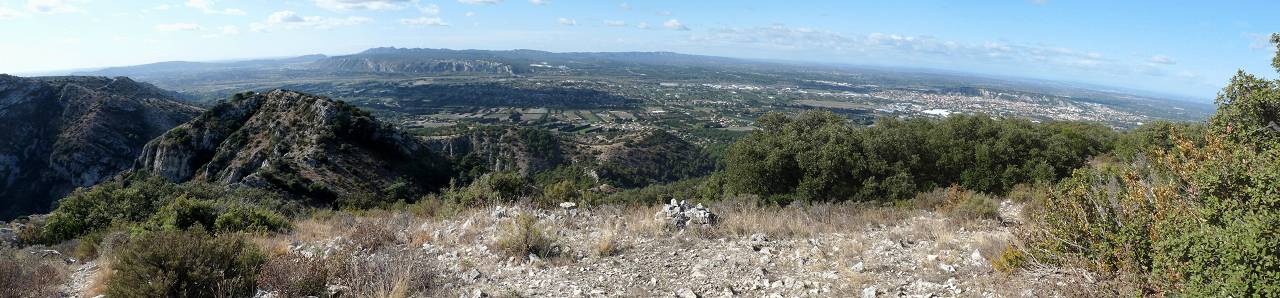 vue