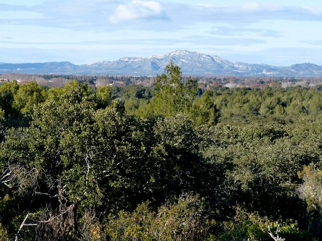 Alpilles